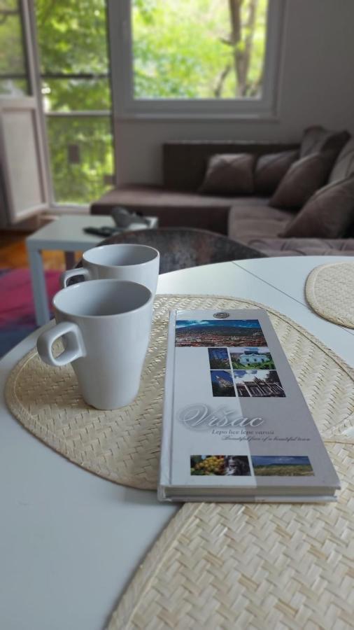 Apartman Milica 弗尔沙茨 外观 照片