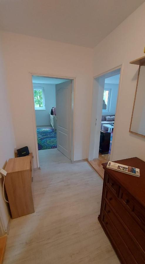 Apartman Milica 弗尔沙茨 外观 照片