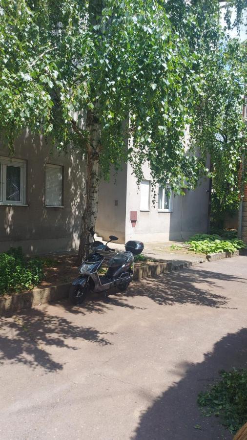 Apartman Milica 弗尔沙茨 外观 照片