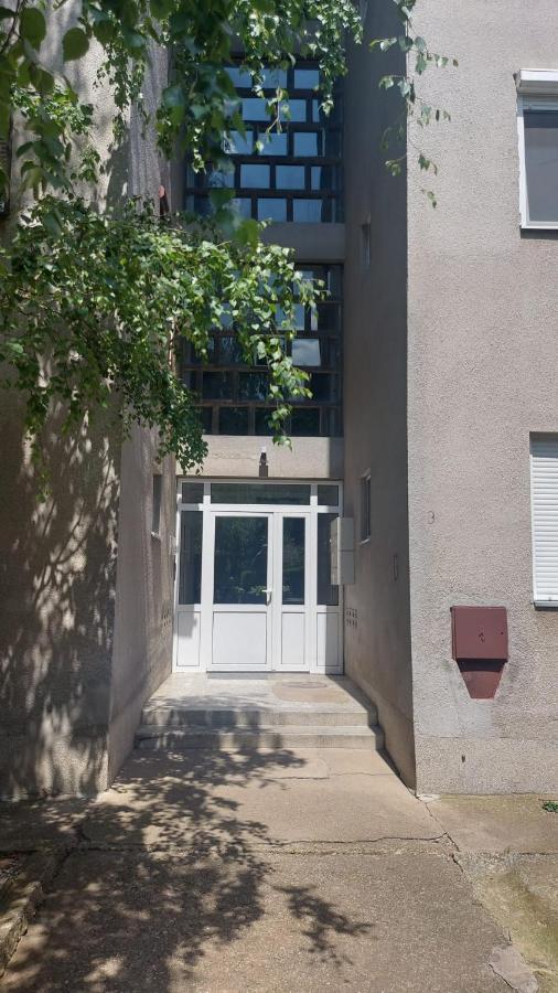Apartman Milica 弗尔沙茨 外观 照片