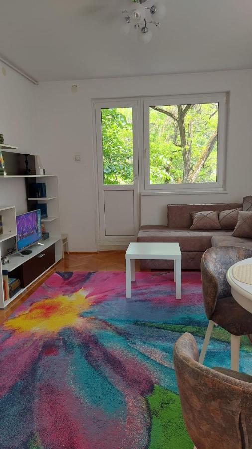 Apartman Milica 弗尔沙茨 外观 照片