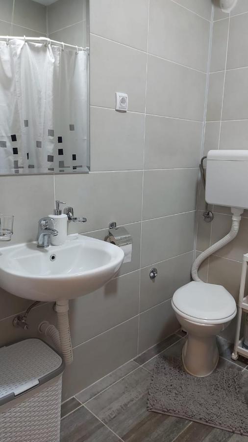 Apartman Milica 弗尔沙茨 外观 照片