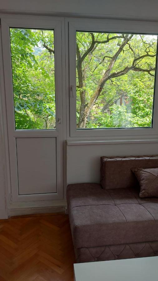 Apartman Milica 弗尔沙茨 外观 照片
