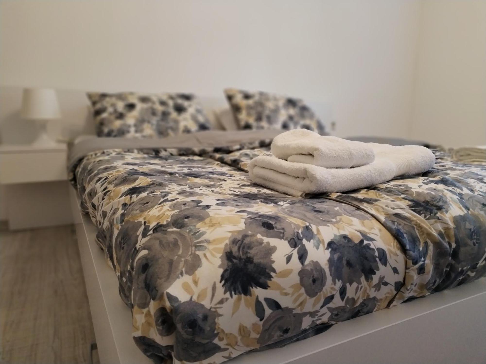 Apartman Milica 弗尔沙茨 外观 照片